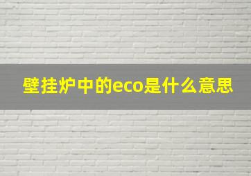 壁挂炉中的eco是什么意思