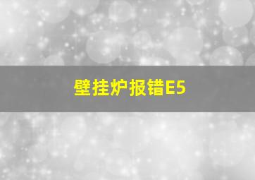 壁挂炉报错E5