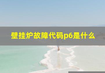 壁挂炉故障代码p6是什么