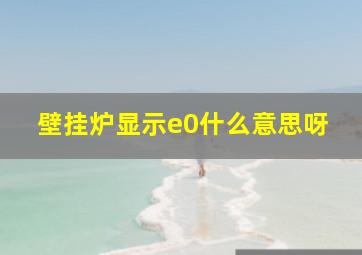 壁挂炉显示e0什么意思呀