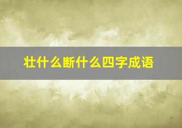 壮什么断什么四字成语