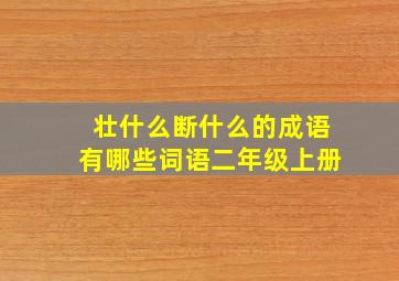 壮什么断什么的成语有哪些词语二年级上册