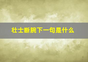 壮士断腕下一句是什么