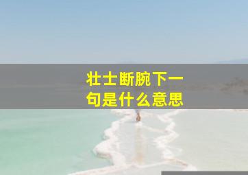 壮士断腕下一句是什么意思