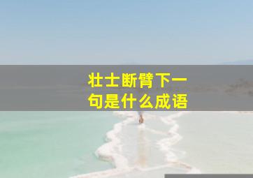 壮士断臂下一句是什么成语