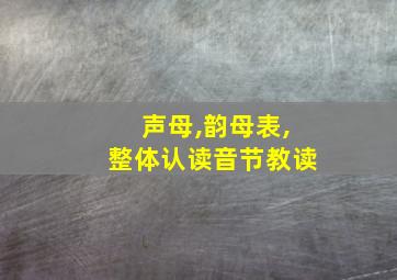 声母,韵母表,整体认读音节教读