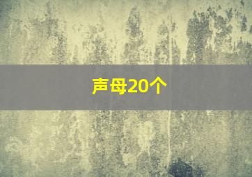 声母20个