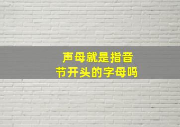 声母就是指音节开头的字母吗