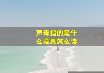 声母指的是什么意思怎么读