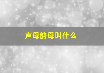 声母韵母叫什么