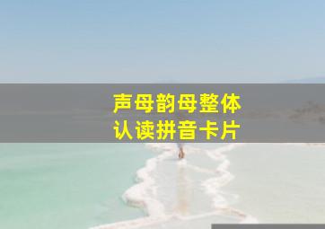 声母韵母整体认读拼音卡片