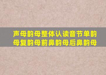 声母韵母整体认读音节单韵母复韵母前鼻韵母后鼻韵母