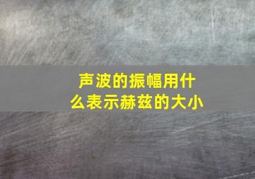 声波的振幅用什么表示赫兹的大小