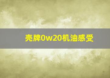 壳牌0w20机油感受