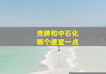 壳牌和中石化哪个便宜一点