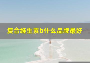 复合维生素b什么品牌最好