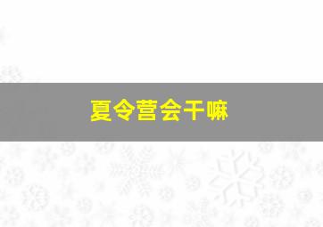 夏令营会干嘛