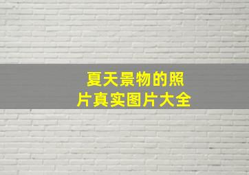 夏天景物的照片真实图片大全