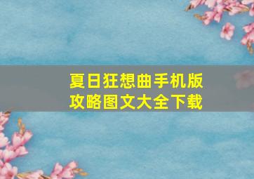 夏日狂想曲手机版攻略图文大全下载