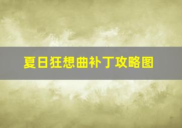 夏日狂想曲补丁攻略图