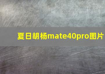 夏日胡杨mate40pro图片