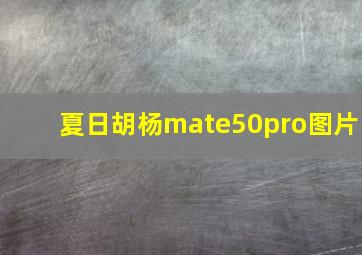 夏日胡杨mate50pro图片