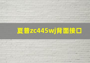 夏普zc445wj背面接口