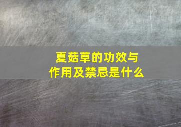 夏菇草的功效与作用及禁忌是什么