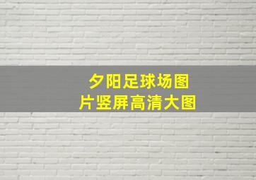 夕阳足球场图片竖屏高清大图