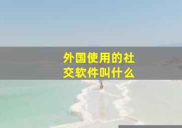 外国使用的社交软件叫什么