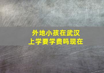 外地小孩在武汉上学要学费吗现在