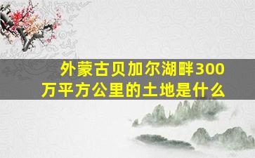 外蒙古贝加尔湖畔300万平方公里的土地是什么