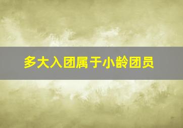 多大入团属于小龄团员