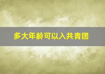 多大年龄可以入共青团