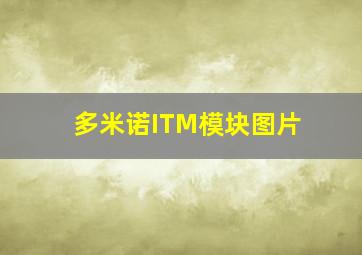 多米诺ITM模块图片