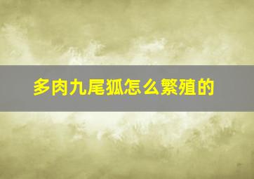 多肉九尾狐怎么繁殖的