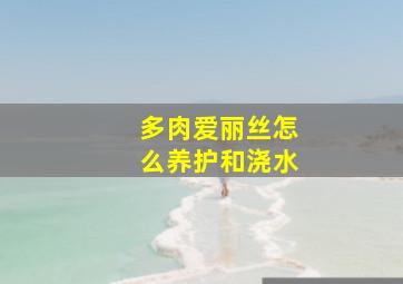 多肉爱丽丝怎么养护和浇水