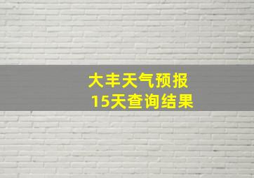 大丰天气预报15天查询结果