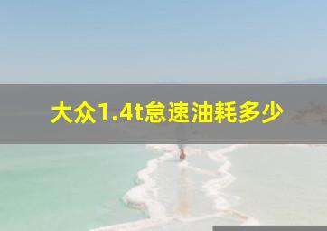 大众1.4t怠速油耗多少