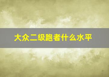 大众二级跑者什么水平