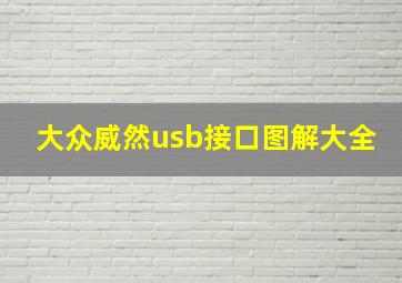 大众威然usb接口图解大全