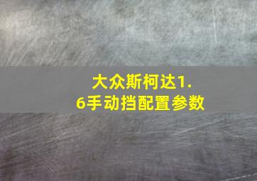 大众斯柯达1.6手动挡配置参数