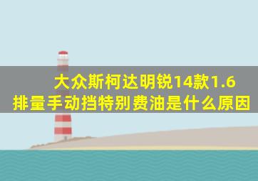 大众斯柯达明锐14款1.6排量手动挡特别费油是什么原因