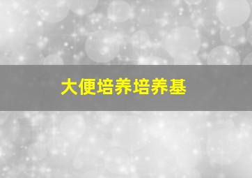 大便培养培养基