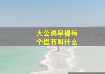 大公鸡早操每个操节叫什么