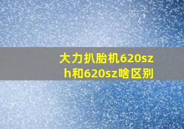 大力扒胎机620szh和620sz啥区别