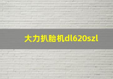 大力扒胎机dl620szl