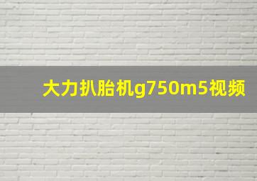 大力扒胎机g750m5视频