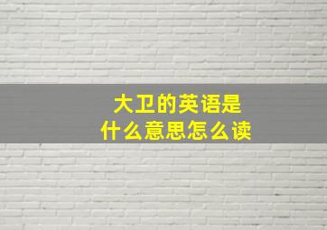 大卫的英语是什么意思怎么读