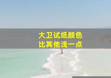 大卫试纸颜色比其他浅一点